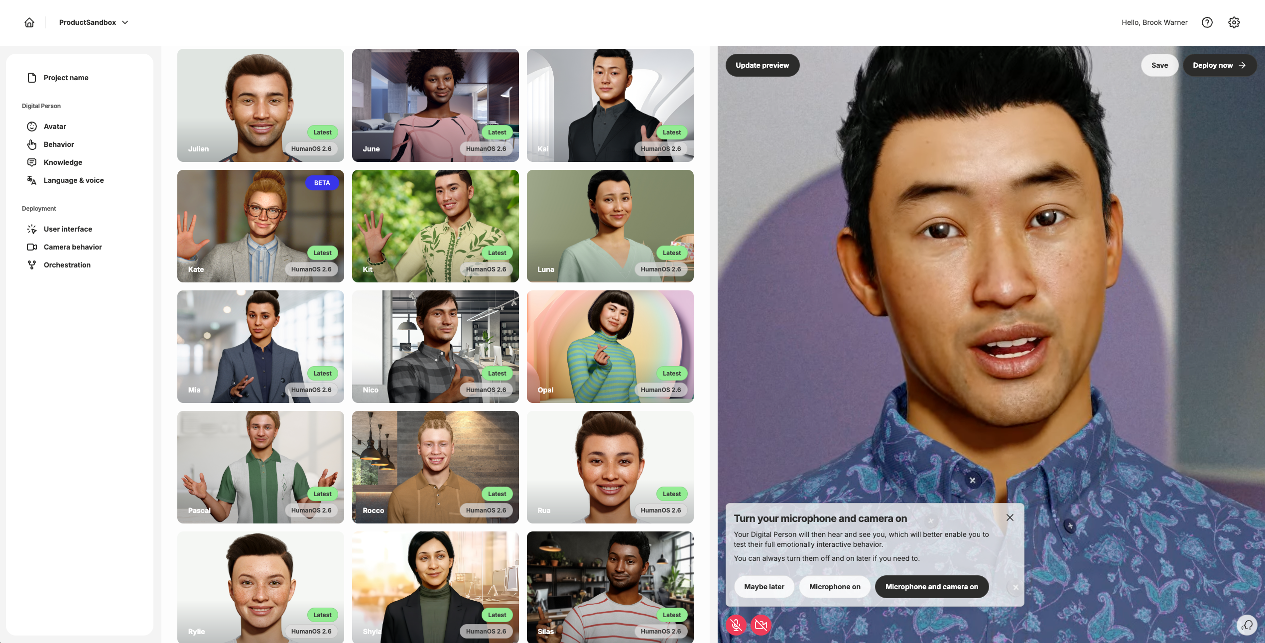Avatar selection interface